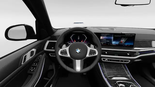 BMW X5 X5 view 12