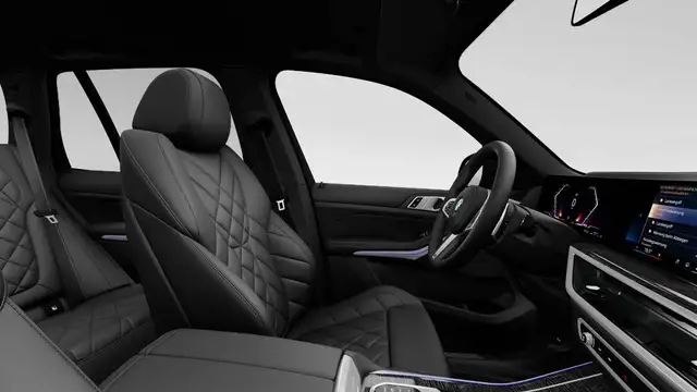 BMW X5 X5 view 8