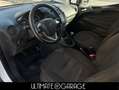 Ford Transit Courier 1.5 TDCI 100 CV Trend VAN +IVA Bianco - thumbnail 10