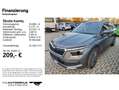 Skoda Kamiq 1.0 TSI DSG Tour Tempo/Einparkhi/Multilenk Grijs - thumbnail 2