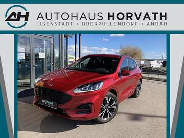 1,5 EcoBlue ST-Line Aut.