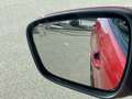Ford Kuga 1,5 EcoBlue ST-Line Aut. Rot - thumbnail 6