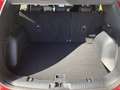 Ford Kuga 1,5 EcoBlue ST-Line Aut. Rot - thumbnail 16