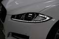 Jaguar XF Sportbrake 2.2D *251dkm* NIEUWSTAAT!! Distributie Blanco - thumbnail 11