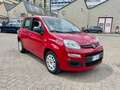Fiat Panda Panda III 2012 1.2 Pop E5 Uniprop. Garanzia 12M - thumbnail 3