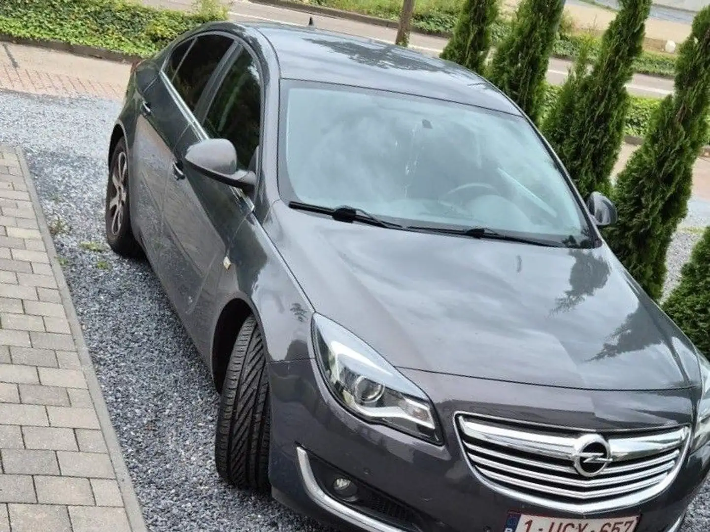 Opel Insignia 2.0 CDTI ecoFLEX Start/Stop Gekeurd - 2