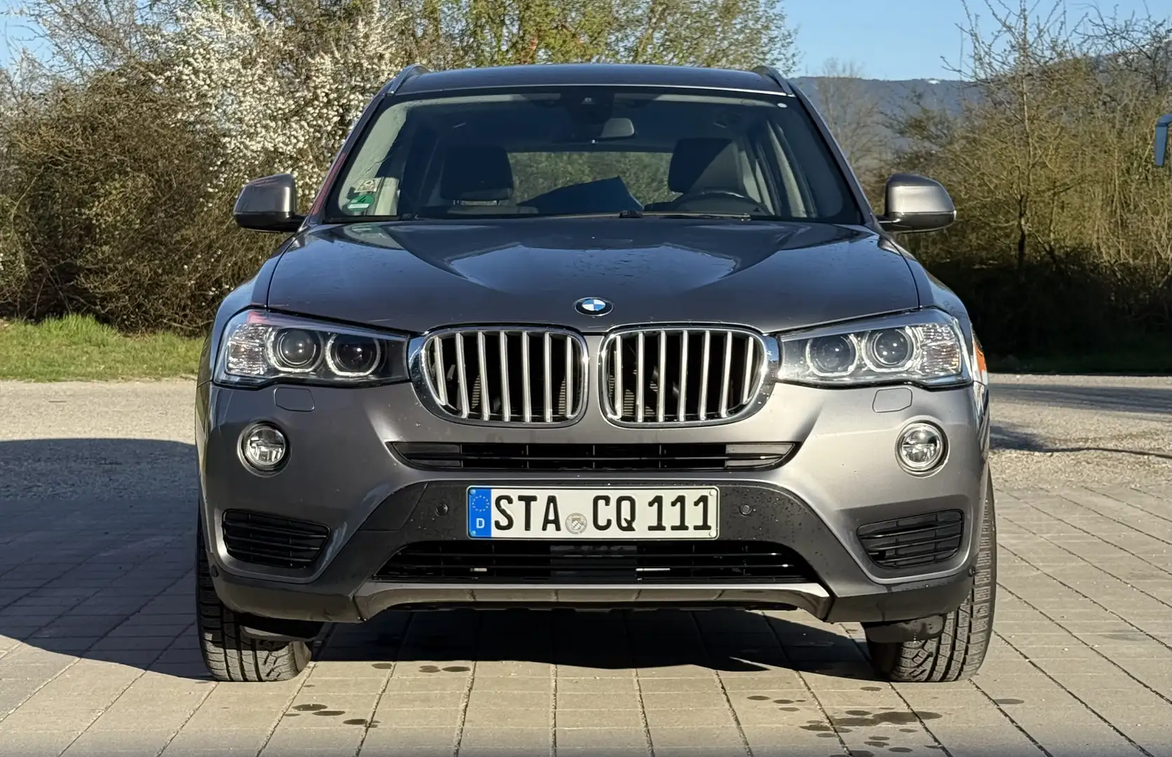 BMW X3 xDrive30d Aut. Advantage - 2