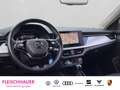 Skoda Kamiq Active 1.0 TSI DSG Business RFK Parksensoren v+h Grau - thumbnail 12
