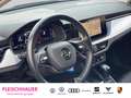 Skoda Kamiq Active 1.0 TSI DSG Business RFK Parksensoren v+h Grau - thumbnail 13