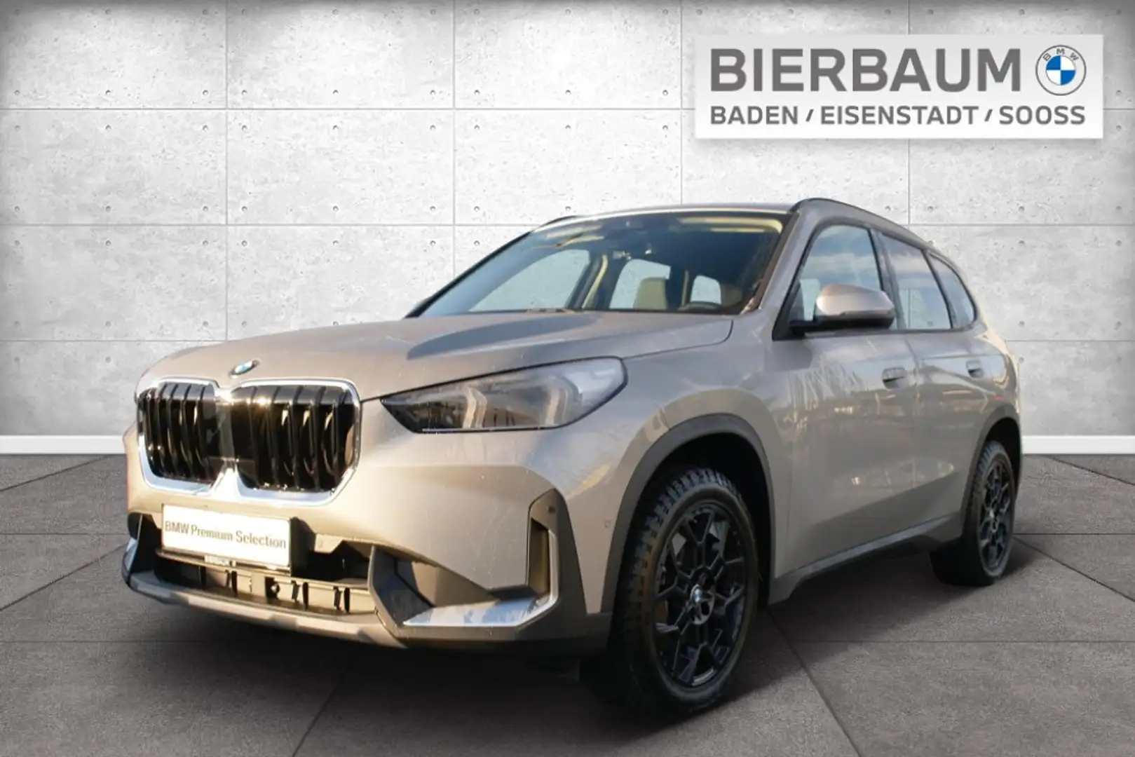 BMW X1 xDrive20d Silber - 1