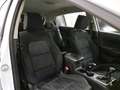 Kia Sportage 1.6 CRDI MHYB 100KW BUSINESS CLASS 2WD - thumbnail 10