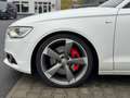 Audi A6 3.0 TDI Q S-Line ACC Motorsound Kessy Bose 20 Blanco - thumbnail 2