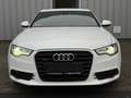 Audi A6 3.0 TDI Q S-Line ACC Motorsound Kessy Bose 20 Blanco - thumbnail 5