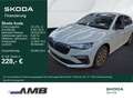 Skoda Scala Tour 1.5 TSI DSG/Matrix/Navi/Black/Sitzhzg Grau - thumbnail 1