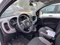 Fiat New Panda 1.0 FireFly Hybrid City Life Gris - thumbnail 10
