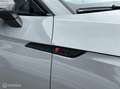 Audi RS5 2.9 TFSI quattro siva - thumbnail 12