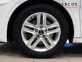 Kia Ceed / cee'd 1.0 T-GDI Concept 100 Blanco - thumbnail 12