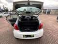 Toyota Yaris 1.3 Cool Klima Weiß - thumbnail 12