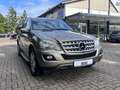 Mercedes-Benz ML 320 ML -Klasse CDI Beige - thumbnail 5