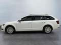 Skoda Octavia Ambition Blanc - thumbnail 8