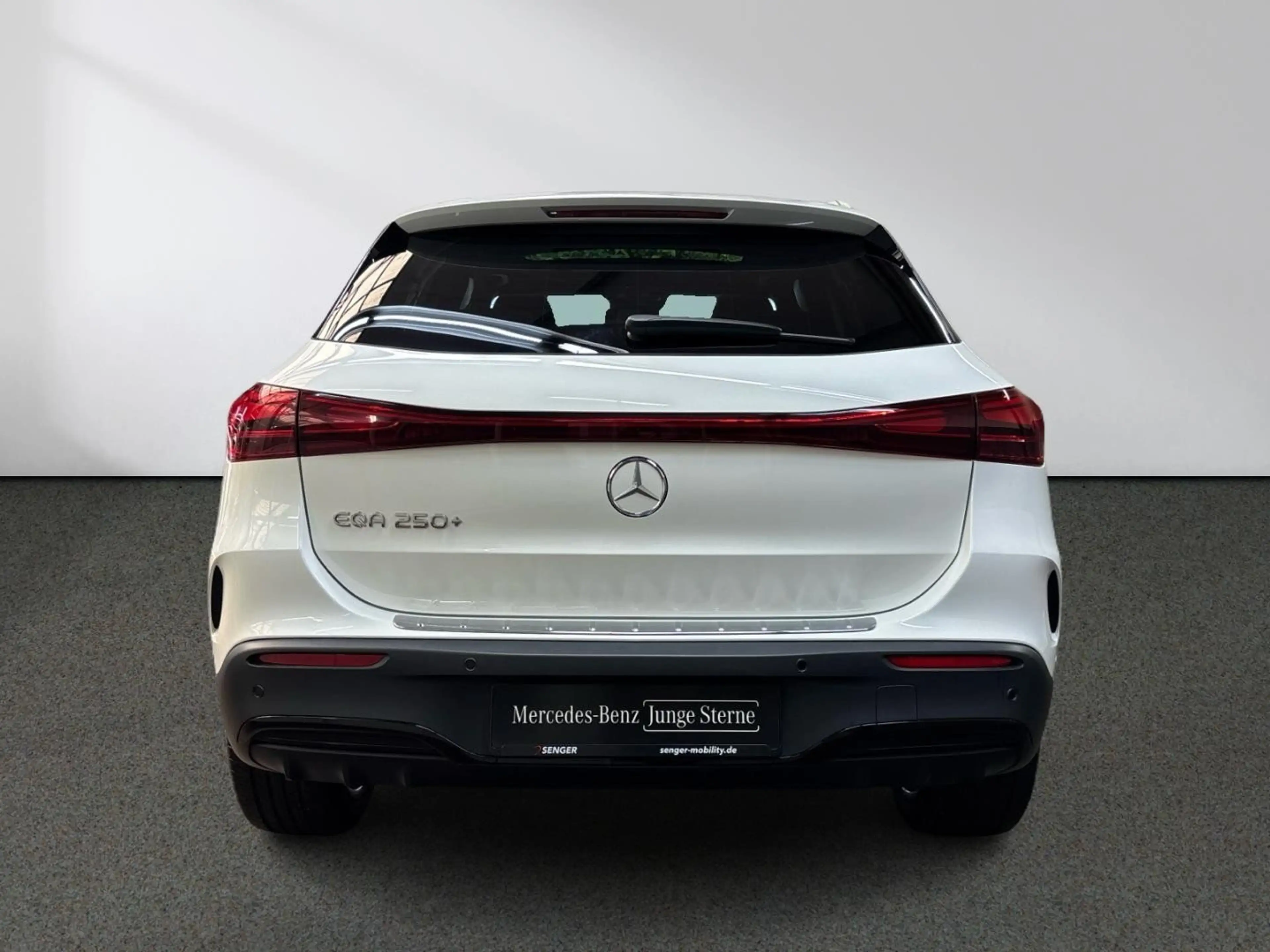 Mercedes-Benz EQA 250 + AMG Night Panorama Burmester 20" HeadUp — photo 5