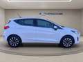 Ford Fiesta 5p 1.1 Titanium 75cv Blanc - thumbnail 13