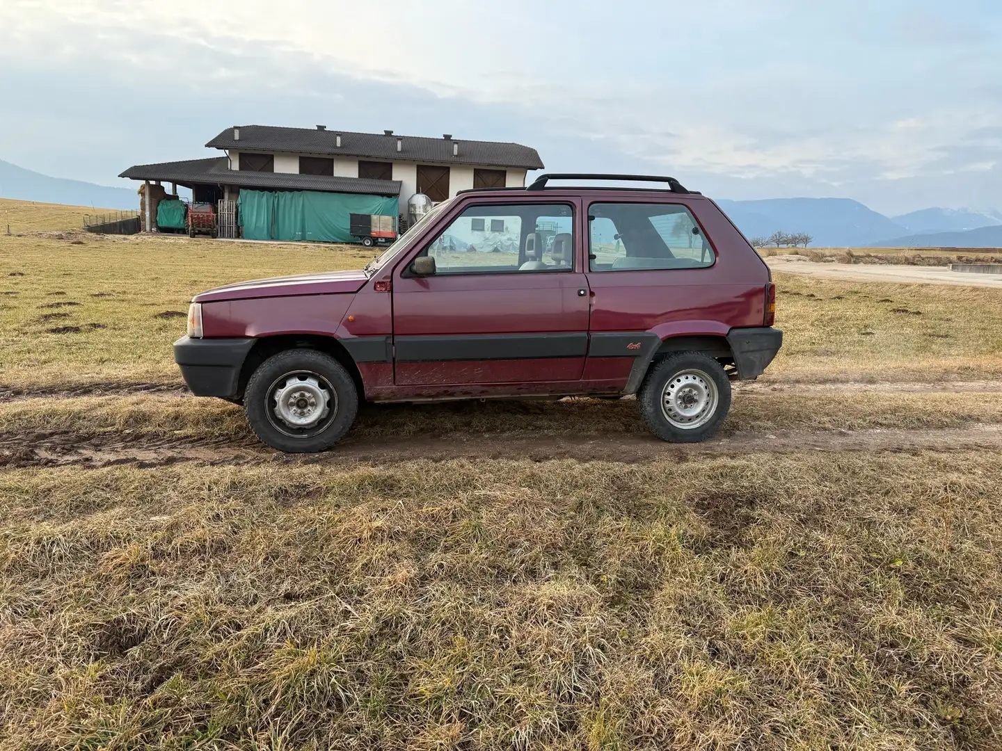 Fiat Panda 1.1 Trekking 4x4 - 2