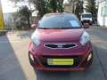 Kia Picanto MPI 1,0 Cool Rot - thumbnail 2