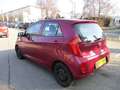 Kia Picanto MPI 1,0 Cool Rot - thumbnail 6
