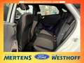 Ford Puma ST-Line Navi Kamera ACC Winter-Paket Gjr Blanco - thumbnail 12