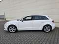 Audi A3 Sportback sport | Xenon | R.Kamera | Sitzhzg | Weiß - thumbnail 5