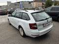 Skoda Octavia Combi 1,6 TDI 4x4*LKW ZULASSUNG* Bianco - thumbnail 3