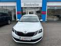 Skoda Octavia Combi 1,6 TDI 4x4*LKW ZULASSUNG* Bianco - thumbnail 1