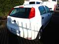 Fiat Punto 5p1.4 easypow Street Gpl E6-FN859FH(Finanziabile) Bianco - thumbnail 8