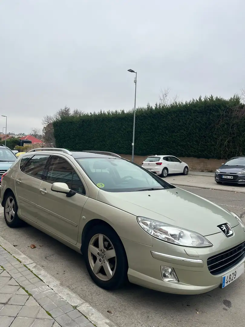 Peugeot 407 407 SW 2.0HDI ST Confort Pack Confort Pack - 1