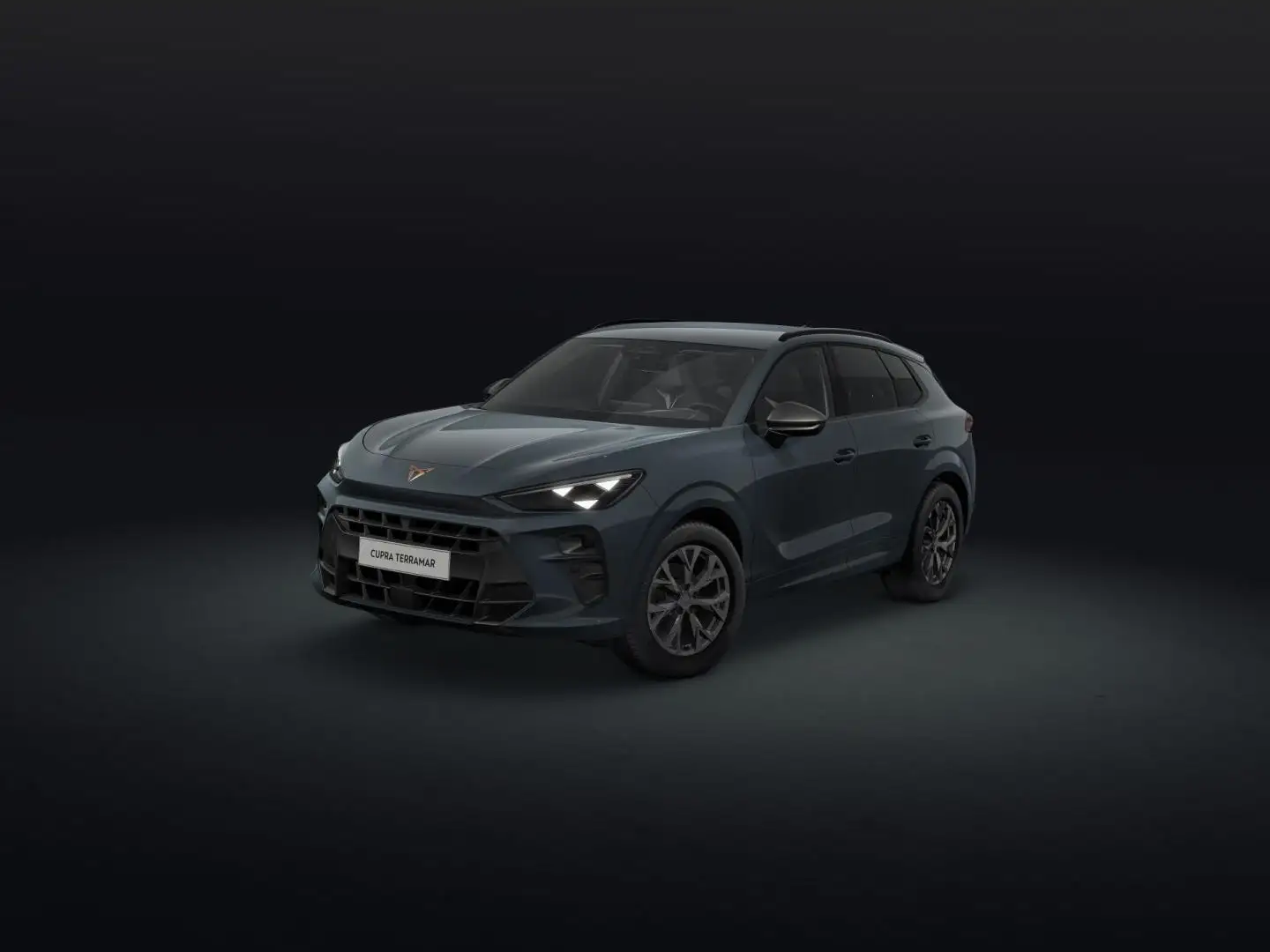 CUPRA Terramar 1.5 eTSI 110 DSG Azul - 1