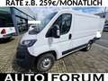 Fiat Ducato 2.2 D L1H1 3,0t KLIMA CAM 3STZ VERKLEIDET Weiß - thumbnail 1