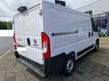 Fiat Ducato 2.2 D L1H1 3,0t KLIMA CAM 3STZ VERKLEIDET Weiß - thumbnail 3