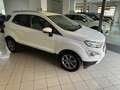 Ford EcoSport 1.5 EcoBlue TDCi Titanium Bianco - thumbnail 5