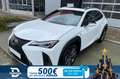 Lexus UX 250h F Sport 2WD Blanco - thumbnail 1