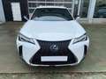 Lexus UX 250h F Sport 2WD Blanco - thumbnail 2