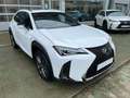 Lexus UX 250h F Sport 2WD Blanco - thumbnail 5