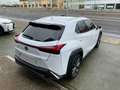 Lexus UX 250h F Sport 2WD Blanco - thumbnail 4