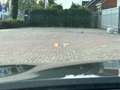 BMW 530 5-Serie Touring (g31) 530i 252pk xDrive Business E Noir - thumbnail 13