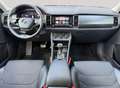 Skoda Kodiaq 1.5 TSI Business Edition Gris - thumbnail 20
