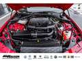 Alfa Romeo Giulia Competizione 2.0 Turbo AT8 Q4 HARMAN-KARDON EL. SI Rouge - thumbnail 26
