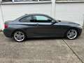 BMW 218 2 Coupe M-Paket NAVI SZH GSD PDC Grau - thumbnail 11