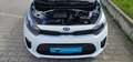 Kia Picanto 1.0*Automatik*Dream-Team*Edition*Kamera*APP*DAB* Weiß - thumbnail 49
