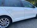 Volkswagen Golf 2.0 TDI Comfortline Variant Klima ACC Navi Weiß - thumbnail 13