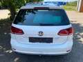 Volkswagen Golf 2.0 TDI Comfortline Variant Klima ACC Navi Weiß - thumbnail 5